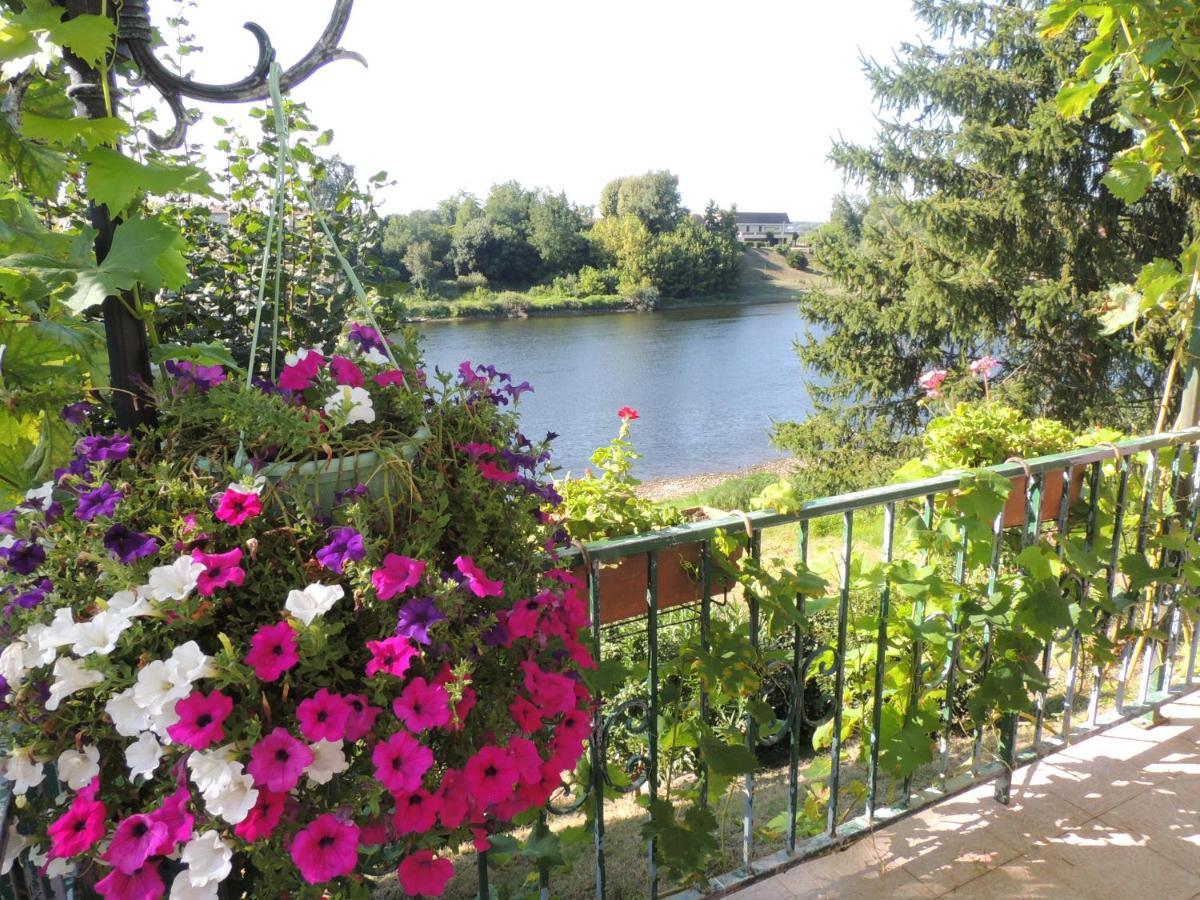 Le Jardin Des Cygnes Bed and Breakfast Pineuilh Buitenkant foto